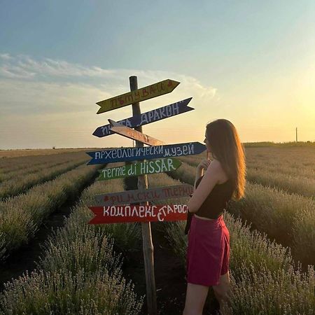 Вила Топи Kaloyanovo  エクステリア 写真