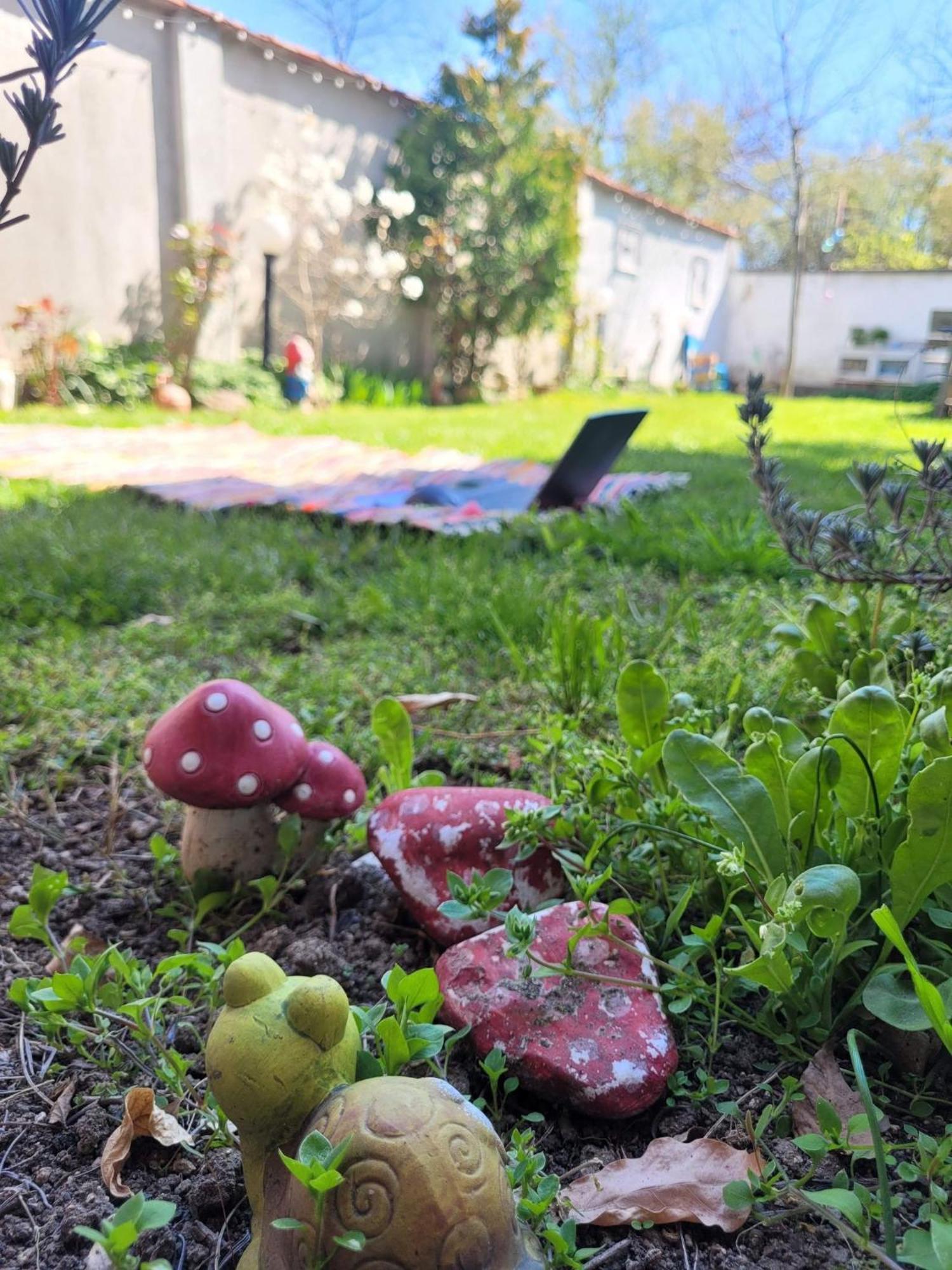 Вила Топи Kaloyanovo  エクステリア 写真